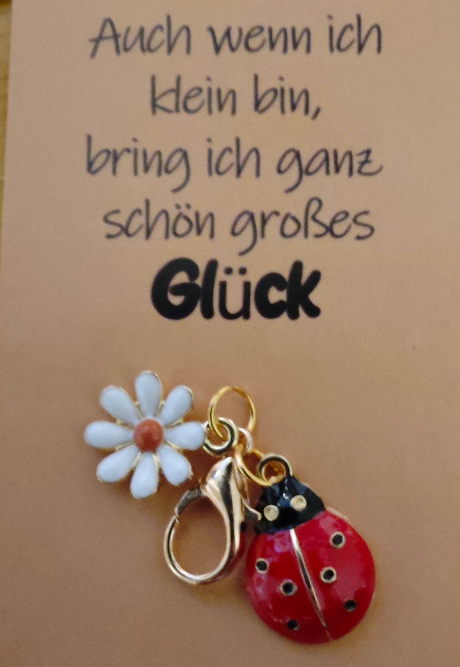 Accessoires Kleine Aufmerksamkeit Dankeschön Geschenke Anhänger Engel Glückskäfer - Kreativstuebchen