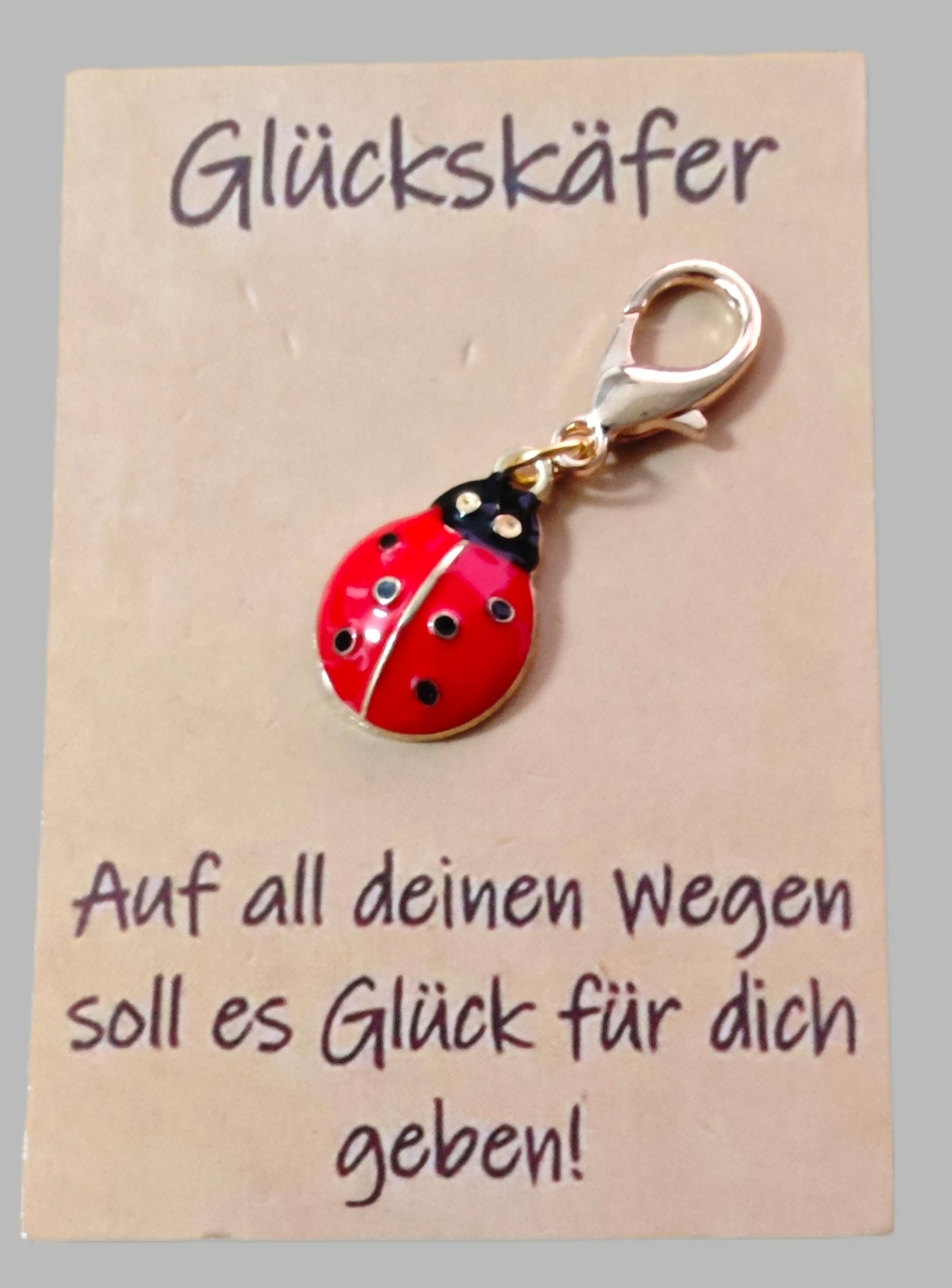 Accessoires Kleine Aufmerksamkeit Dankeschön Geschenke Anhänger Engel Glückskäfer - Kreativstuebchen