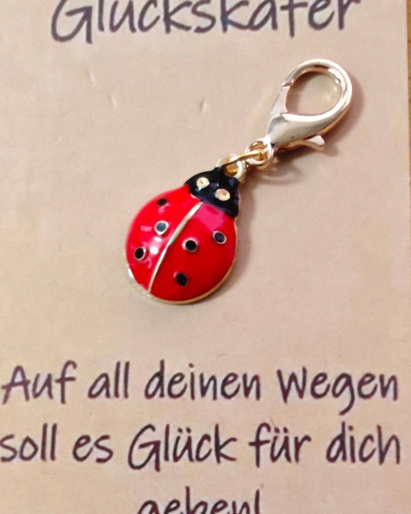 VALENTINSTAG, Maikäfer, Glücksbringer, KLEINE Anhänger, Glücksschweinchen Verschiedene Schlüsselanhänger aus Metall mit Karabiner Karte - Kreativstuebchen
