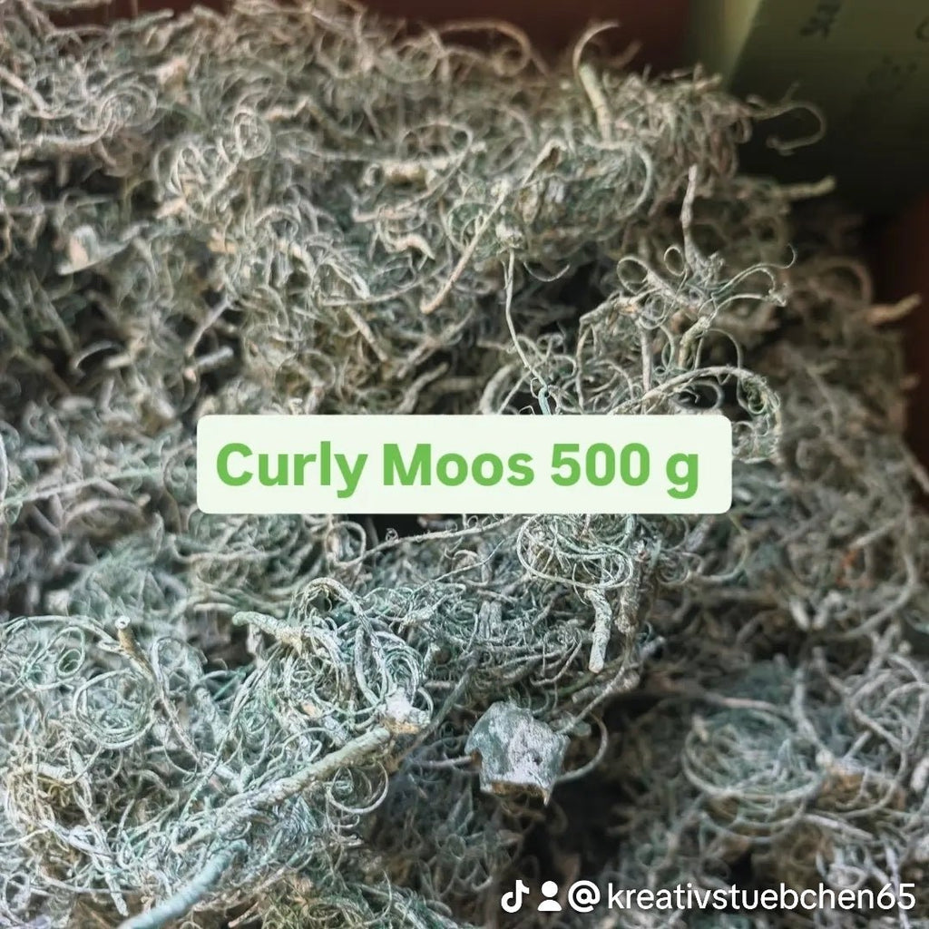 Curly Moos Grün Frosted Weihnachtsdeko 500 gramm Packung - Kreativstuebchen