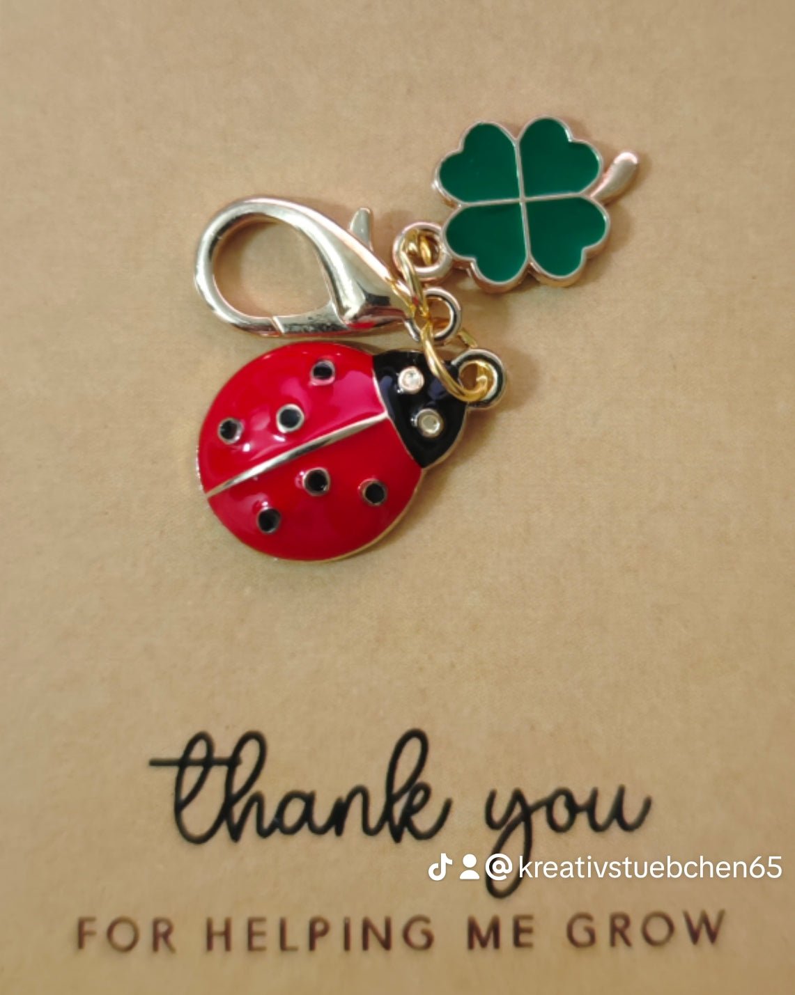 Accessoires Kleine Aufmerksamkeit Dankeschön Geschenke Anhänger Engel Glückskäfer - Kreativstuebchen