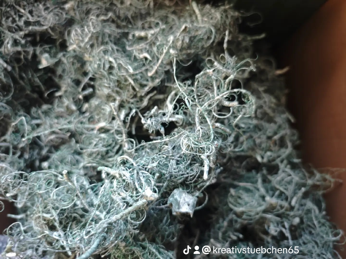 Curly Moos Grün Frosted Weihnachtsdeko 500 gramm Packung - Kreativstuebchen